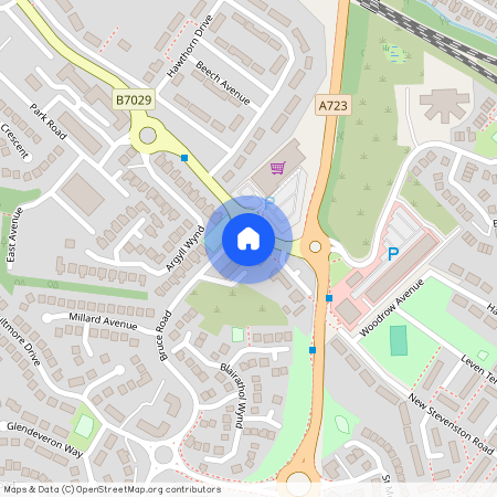 Montrose Court, Carfin, Motherwell, ML1 4WN