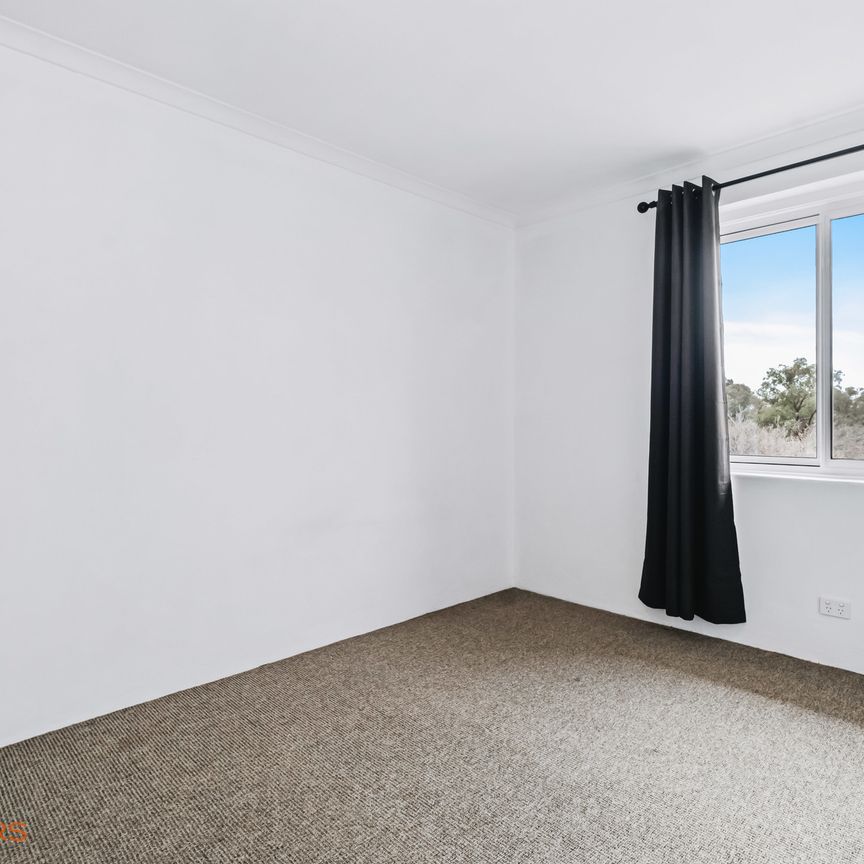 36/3 Waddell Place, Curtin ACT 2605 - Apartment For Rent | Domain - Photo 1