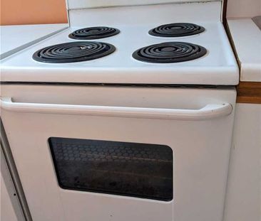 For Lease - 132 Old Surrey Lane Unit# Lower, Richmond Hill, Ontario - Photo 3