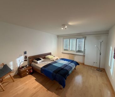 3.5 Zimmer, 74 m², 9. Stock - Photo 4
