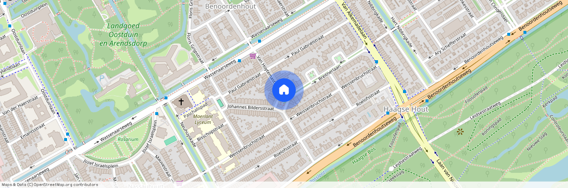 Van Hoytemastraat e.o., 2596 GV, Breitnerlaan, Den Haag