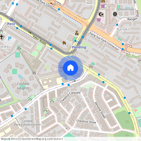 132 Cashew Road (670132), Singapore