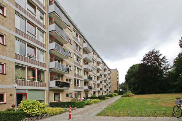 Arnhemse Bovenweg 6A59, 3708AC Zeist - Photo 1