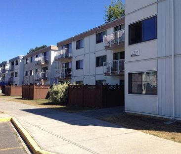 Rental 205-7220 Lindsay Road - Photo 1