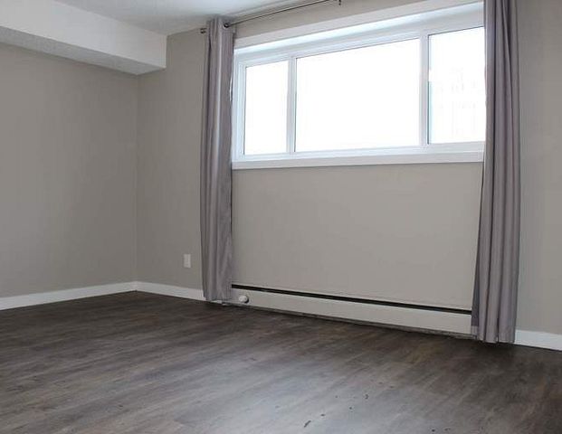 Kane Apartments | 10316 119 Street NW, Edmonton - Photo 1