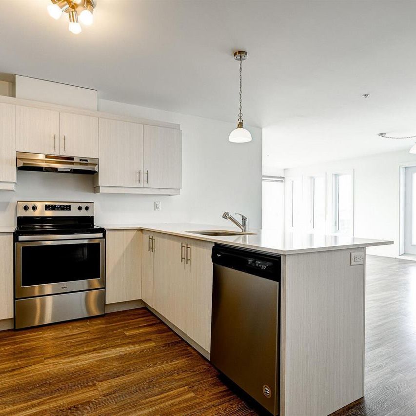 1 Bedroom + Den - 21 Rue Simon Lussier, Blainville - Photo 2