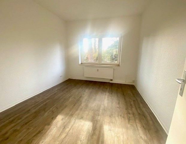 Charmante 2,5-Zimmer-Wohnung mit großer Küche und Garten zur allgemeinen Benutzung - Photo 1