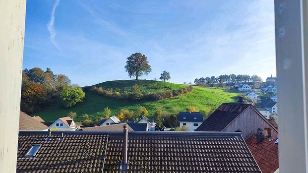 Für eine Einzeplperson in Altstätten (SG), möbliert, auf Zeit - Photo 1