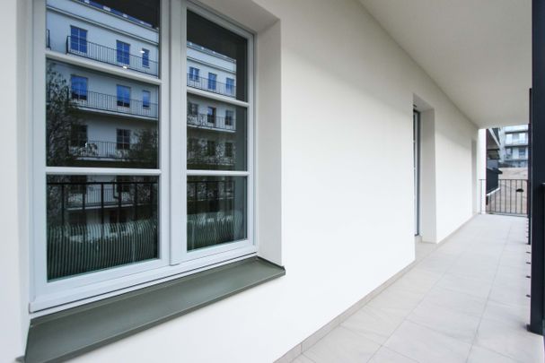 angel wawel - Zdjęcie 1