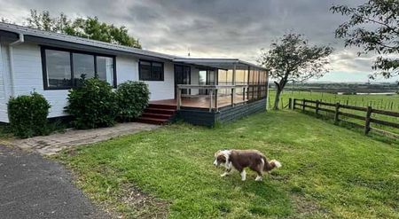 Fancy looking after a goat - Photo 4