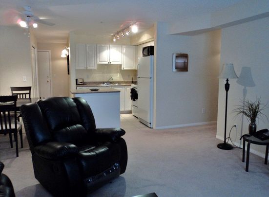 413, 60 Lawford Ave *furnished* - Photo 1