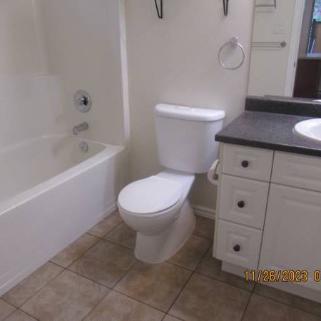 2 Bed basement suite small pet considered - Photo 3