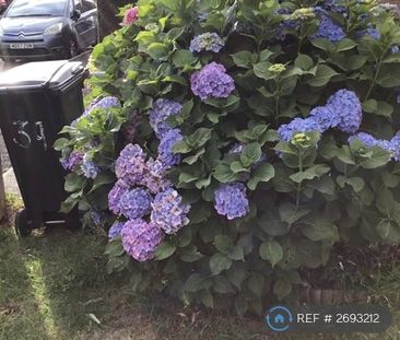 3 bedroom terraced house to rent - Photo 3