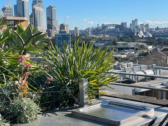 Darlinghurst - Photo 1