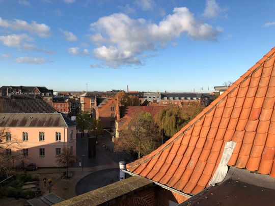 Central citylejlighed i Odense Centrum – tæt på gågade og banegård - Photo 1