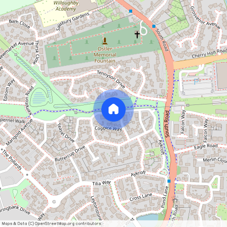 Cowslip Crescent, Bourne