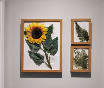 Fabulous shared house within walking distance of hospitals, train s... - Photo 4