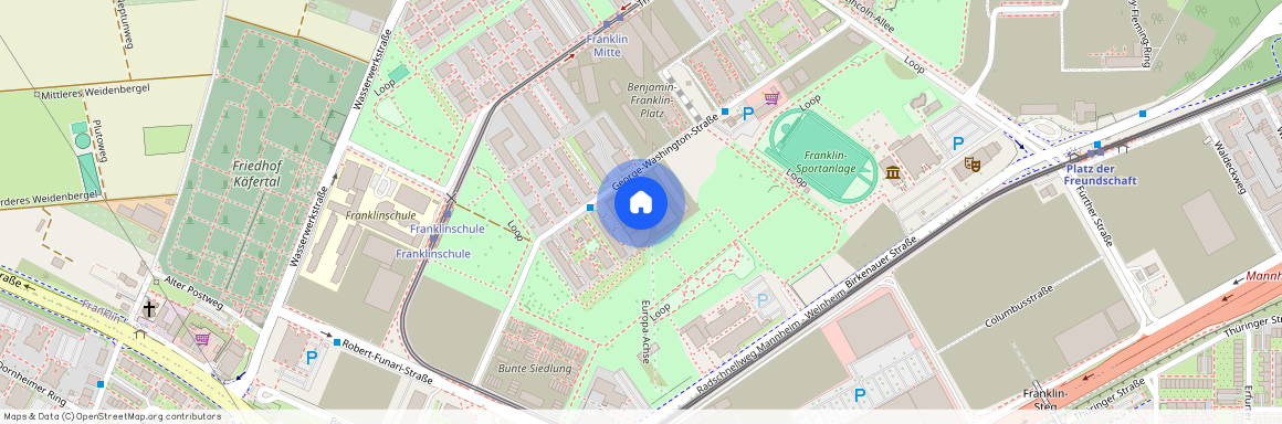 George-Washington-Str. 170a, 68309, Mannheim