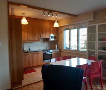 21/2 ROOM APARTMENT IN VERSOIX (GE), FURNISHED - Photo 5