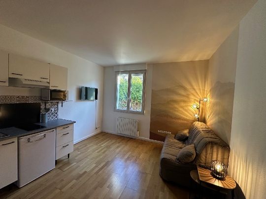 Location Appartement 1 pièce 20m² BOIS LE ROI 77590 - Photo 1