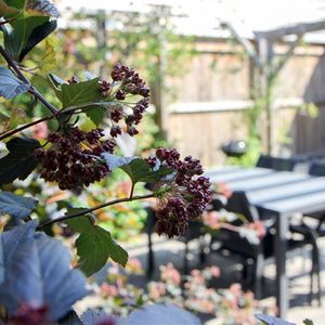 Södergatan 23 - Foto 3