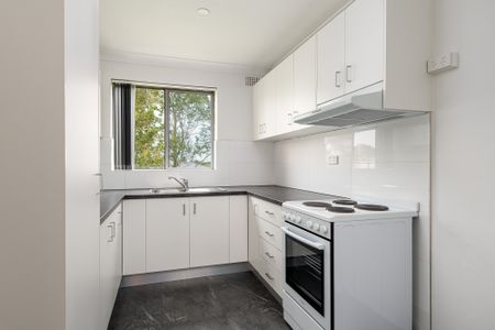 3/54 Knox Street, Belmore NSW 2192 - Apartment For Rent | Domain - Photo 5