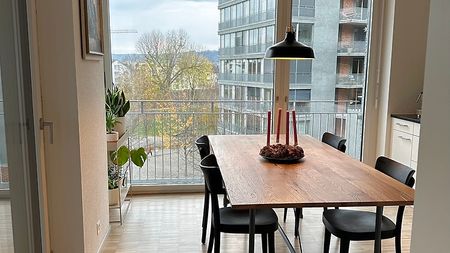 2½ Zimmer-Wohnung in Zürich - Kreis 9 Albisrieden, möbliert, auf Zeit - Photo 3