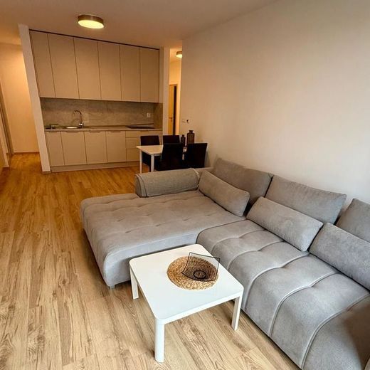 Prenájom 2izbového zariadeného bytu - Vila byty Pri lesíku - Photo 1