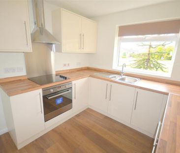 2 bedroom detached bungalow to rent - Photo 6