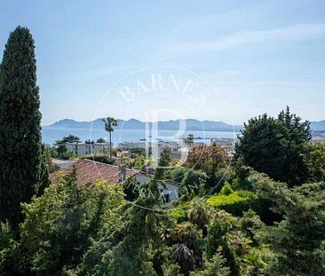 CANNES BASSE CALIFORNIE - VILLA CONTEMPORAINE - 7 CHAMBRES - Photo 5