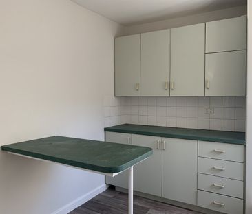 Rare Gem on Rupert Street - Photo 2
