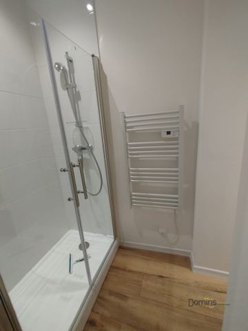 Location Appartement 1 pièce 21m² LILLE 59800 - Photo 5