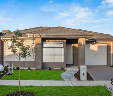 Family Home in Tarneit - Photo 5