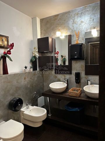 Heritage Home for Rent, Multi-Use 20 rooms, Downtown, Cismigiu area - Fotografie 5