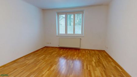 Oelweingasse/Braunhirschenpark - Erdgeschoßwohnung in guter Hausstruktur sucht liebevollen Mieter - Foto 2