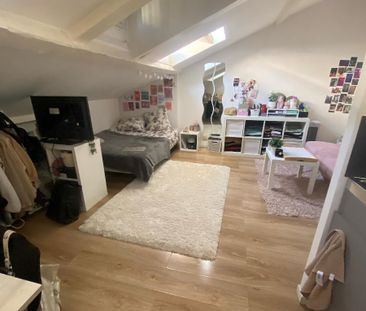 Location Appartement 1 pièce 16m² VILLEURBANNE 69100 - Photo 3
