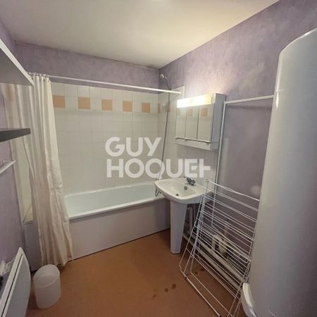 Location Appartement 2 pièces 46m² - Photo 4