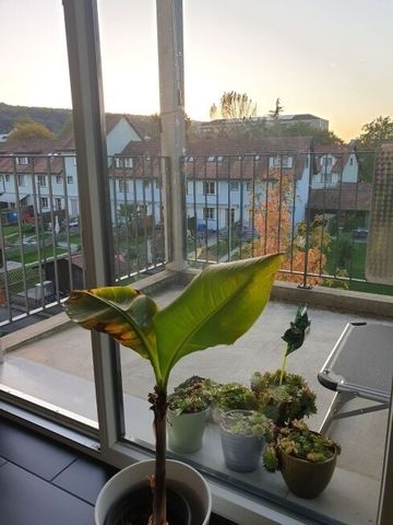 Quiet apartment in Zurich - Foto 4