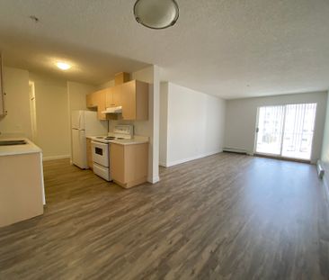 Stonebridge on Bothwell Drive - Photo 1