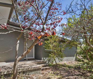 30 Clianthus Street, O'Connor ACT 2602 - House For Rent | Domain - Photo 6