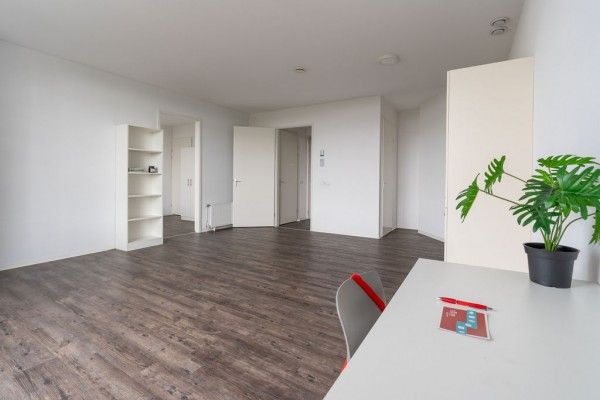 Hoptillepad en Horstenberg - Photo 1