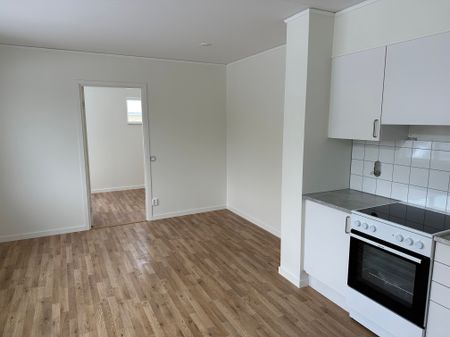 Vidhemsgatan, Vedum - Photo 2