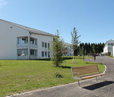 3 Zimmer, 80 m², EG - Photo 5
