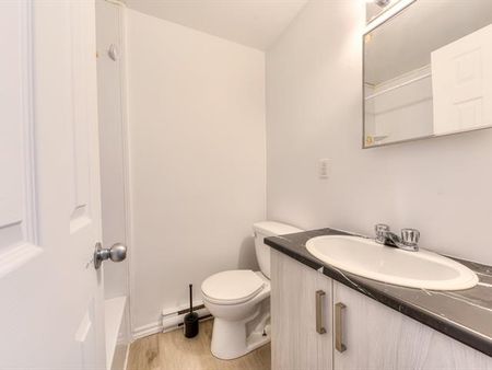 3910 Av. Henri Julien - Photo 2