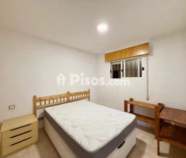 Apartamento en alquiler en Mil Palmeras - Foto 4