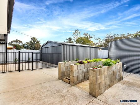 14 Coronation Avenue, Tanunda SA 5352 - House For Rent | Domain - Photo 5