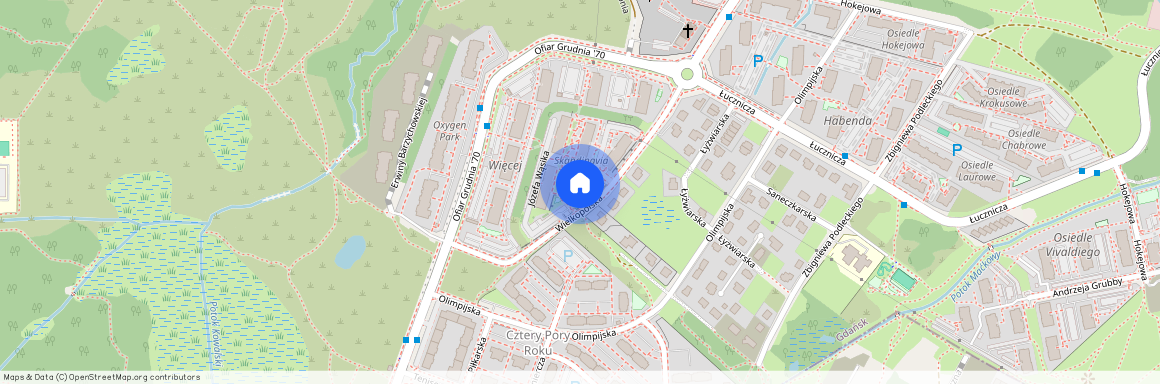 ul. Wielkopolska, Orunia Górna - Gdańsk Południe, Gdańsk, pomorskie