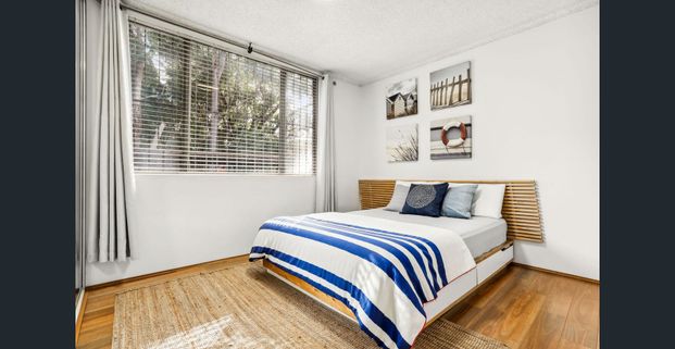 Immaculately Renovated Ground Floor Apartment - Photo 1