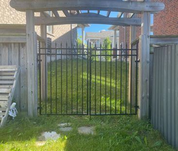 For Lease - 43 Philips View Crescent Unit# Basement, Richmond Hill,... - Photo 4