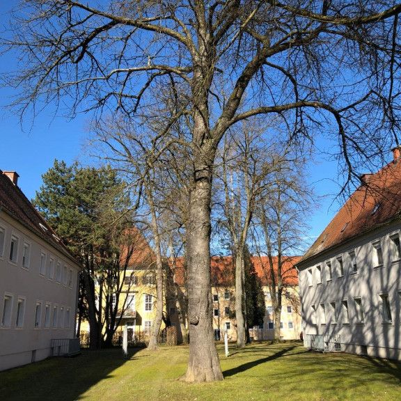 Ruhiges, grünes Wohnen mit optimaler Infrastruktur verspricht Erholung pur und kurze Wege! Schnell sein und diese in Sanierung befindliche Wohnung sichern - bezugsfertig Mitte August! - Foto 1